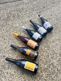 Staff Picks